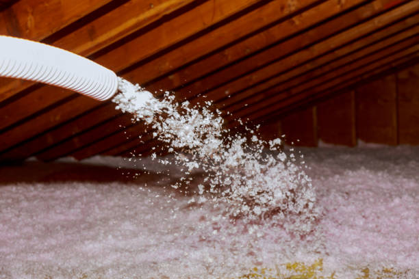 Types of Insulation We Offer in Tuscaloosa, AL