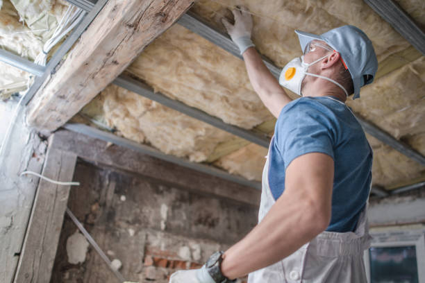 Best Specialized Insulation Services in Tuscoosa, AL